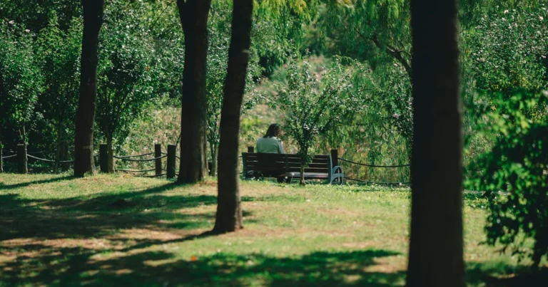 Featured image for 25 Mindful Ideas to Try in Nature for Instant Calm 2025